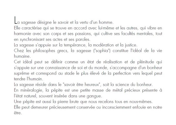 100 pépites de Sagesse de Florian Mantione – Image 3